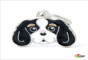 MY-Tricolour Cavalier King