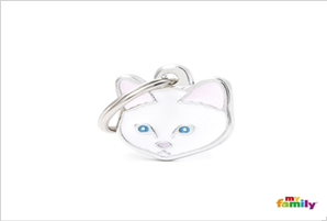 MY-White European Shorthair