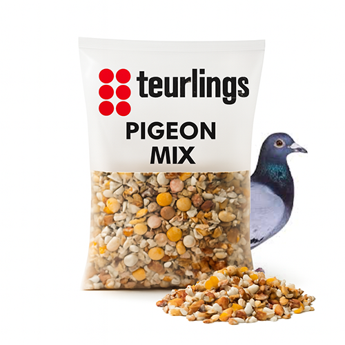 Teurling Pigeon Food (20kg)
