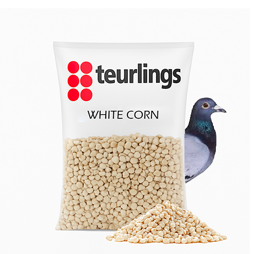 Teurling White Corn Grade "A" (25kg)