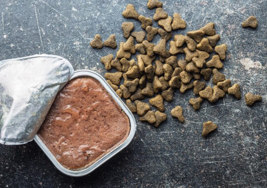 Wet Cat Food Lebanon: Complete Guide to Moist Feline Nutrition