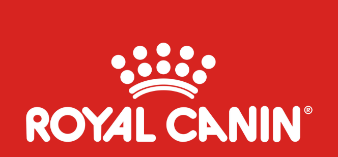Royal Canin Cat Food Lebanon: Complete Feline Nutrition Guide