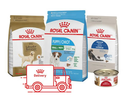 Royal Canin Dog Food Lebanon: Vet-Approved Nutrition for Your Dog