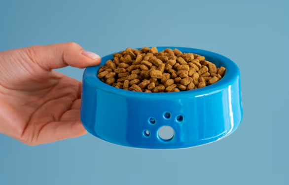 Indoor Cat Food Lebanon: Perfect Nutrition for Indoor Cats