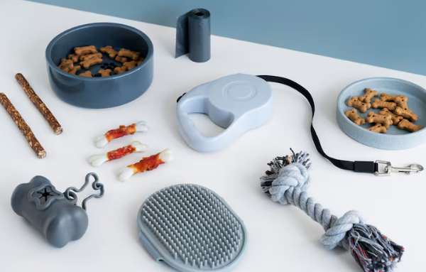 Pet Accessories Lebanon: Complete Guide to Dog, Cat & Bird Supplies
