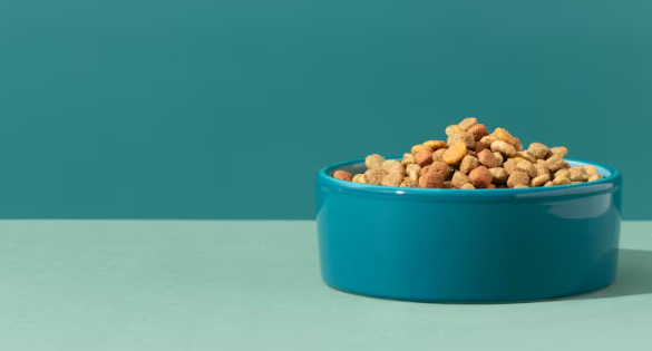 Best Pet Food Brands Lebanon: Premium Nutrition Guide