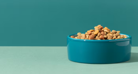 Best Pet Food Brands Lebanon: Premium Nutrition Guide