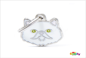 MY-WHITE PERSIAN