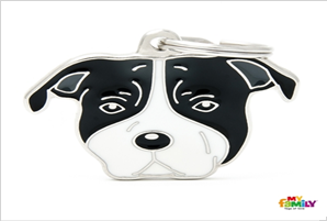 MY-White And Black American Staffordshire Terrier