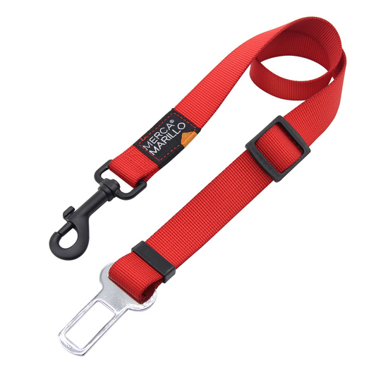 Nunbell Leash 2cm