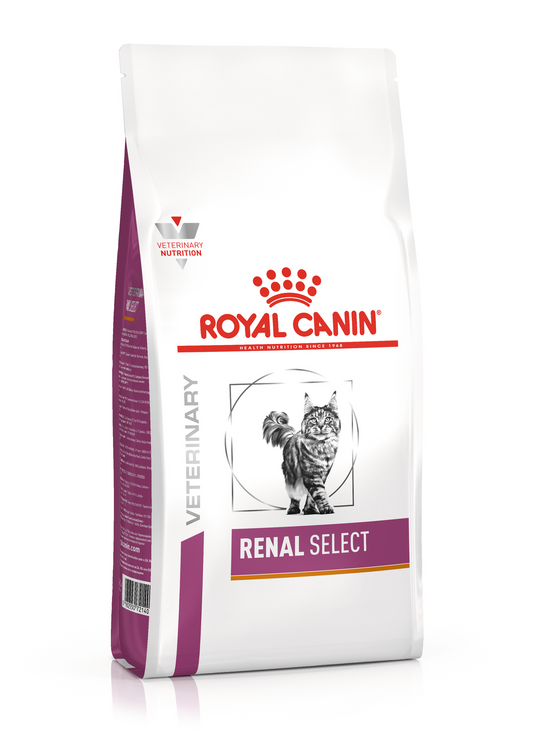 Royal Canin Cat Dry Food Chicken 1.5kg - Cat Food Lebanon | Fast Delivery